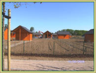 Hecken und Bäume gepflanzt